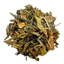 Pai Mu Tan du Vietnam BIO