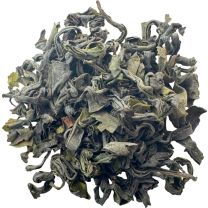 Oolong japonés BIO
