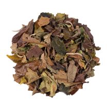 China Pai Mu Tan BIO