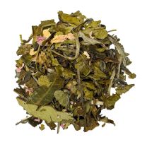 Fraise Madagascar BIO