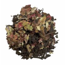 Dunkle Brombeere