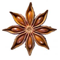 Spices- Star Anise ORGANIC