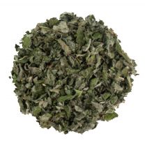 Applemint ORGANIC