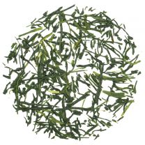 Gyokuro Kusanagi ORGANIC