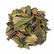 White Tea Superior Blend BIO