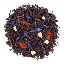 Rinascimento - Campione