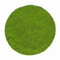 China Matcha per cucina BIO