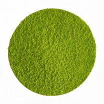 Japan Ceremonial Matcha "Hisui" BIO